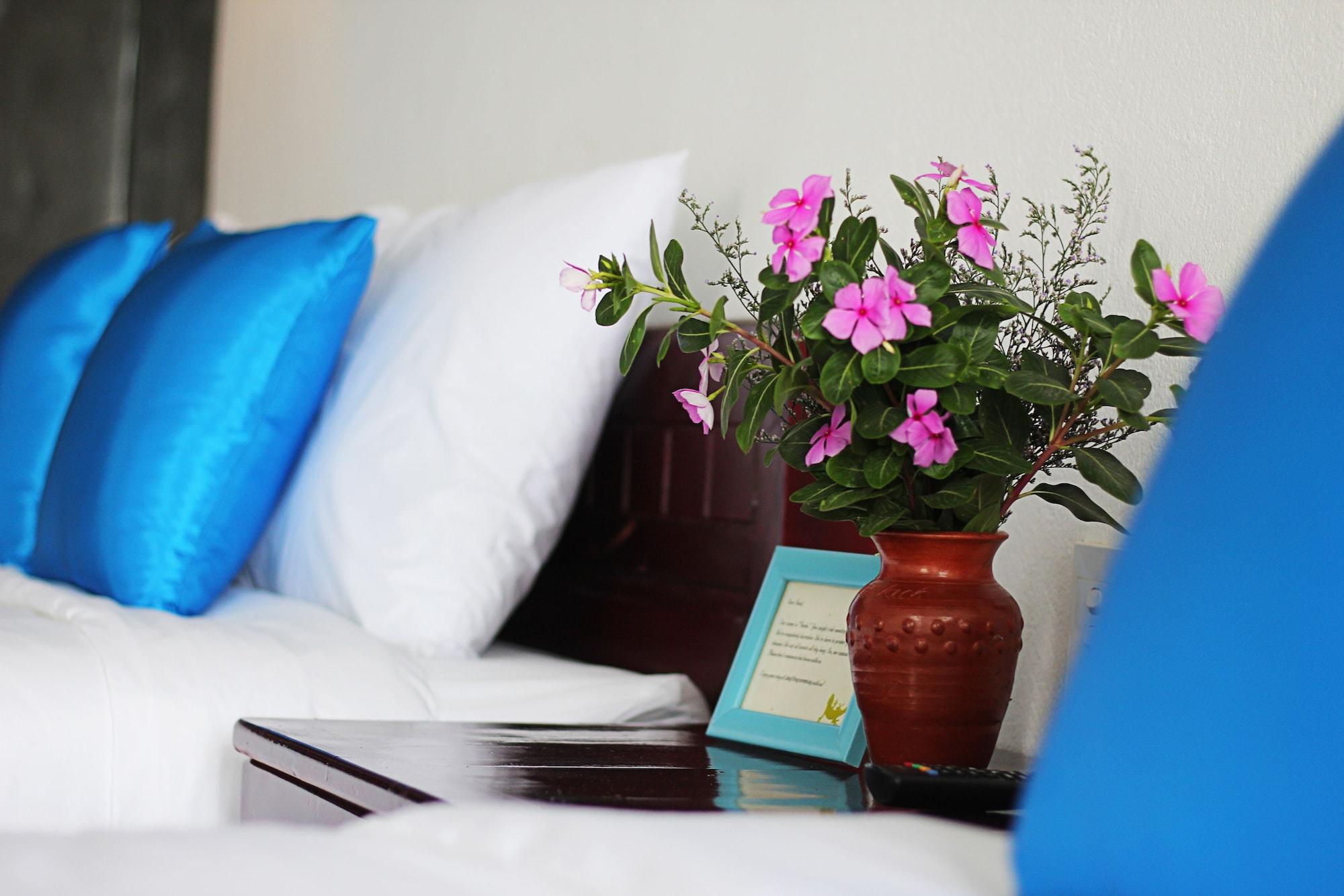 호이안 랭 동 안 방 B&B 외부 사진